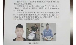 玉山网友爆料案件最新消息,案情再掀波澜，真相逐渐浮出水面